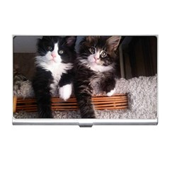 Cats Brothers Business Card Holder