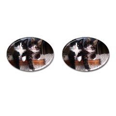 Cats Brothers Cufflinks (oval) by Sparkle