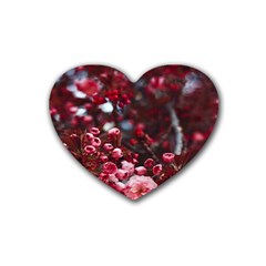 Red Floral Heart Coaster (4 Pack)  by Sparkle