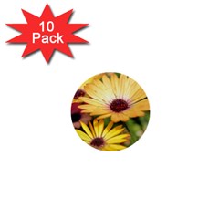 Yellow Flowers 1  Mini Buttons (10 Pack) 