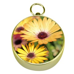 Yellow Flowers Gold Compasses by Sparkle