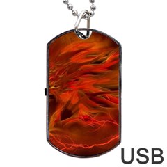 Fire Lion Flame Light Mystical Dog Tag Usb Flash (two Sides)