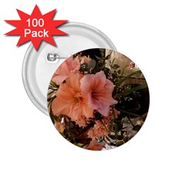 20181209 181459 2 25  Buttons (100 Pack) 