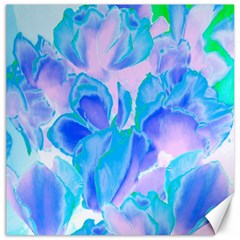 Ciclamen Flowers Blue Canvas 12  X 12 