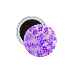 Purple Spring Flowers 1 75  Magnets by DinkovaArt