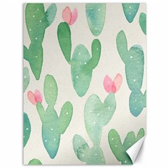 Photography-backdrops-for-baby-pictures-cactus-photo-studio-background-for-birthday-shower-xt-5654 Canvas 36  x 48 