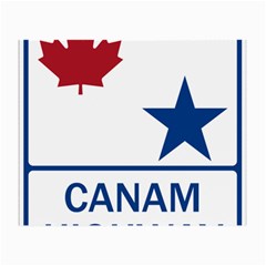 Canam Highway Shield  Small Glasses Cloth (2 Sides) by abbeyz71