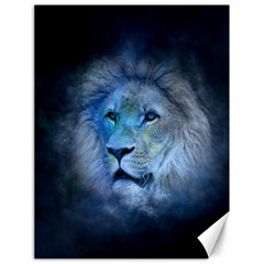 Astrology Zodiac Lion Canvas 18  X 24 