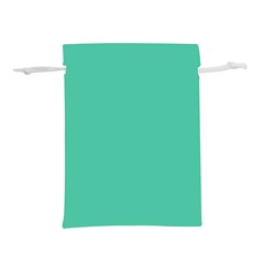 True Biscay Green Solid Color Lightweight Drawstring Pouch (l) by SpinnyChairDesigns