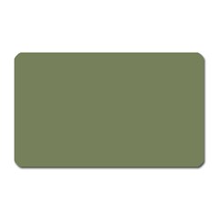 Sage Green Color Magnet (rectangular) by SpinnyChairDesigns