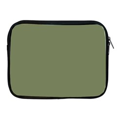 Sage Green Color Apple Ipad 2/3/4 Zipper Cases by SpinnyChairDesigns