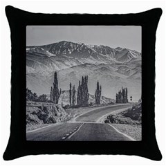 Deserted Landscape Highway, San Juan Province, Argentina Throw Pillow Case (black) by dflcprintsclothing