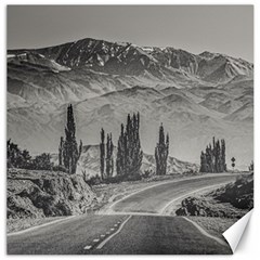Deserted Landscape Highway, San Juan Province, Argentina Canvas 16  X 16  by dflcprintsclothing