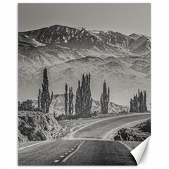 Deserted Landscape Highway, San Juan Province, Argentina Canvas 16  X 20  by dflcprintsclothing