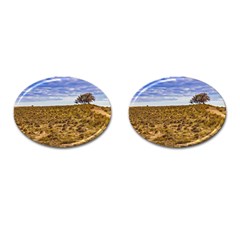 Patagonia Landscape Scene, Santa Cruz - Argentina Cufflinks (oval) by dflcprintsclothing