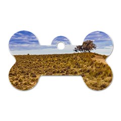 Patagonia Landscape Scene, Santa Cruz - Argentina Dog Tag Bone (two Sides)