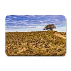 Patagonia Landscape Scene, Santa Cruz - Argentina Small Doormat  by dflcprintsclothing