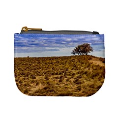 Patagonia Landscape Scene, Santa Cruz - Argentina Mini Coin Purse