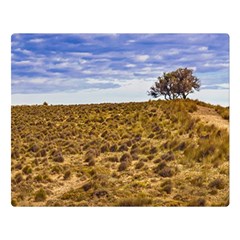 Patagonia Landscape Scene, Santa Cruz - Argentina Double Sided Flano Blanket (large)  by dflcprintsclothing