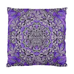 Floral Wreaths In The Beautiful Nature Mandala Standard Cushion Case (one Side) by pepitasart