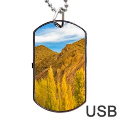 El Leoncito National Park, San Juan Province, Argentina Dog Tag Usb Flash (one Side) by dflcprintsclothing