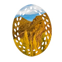 El Leoncito National Park, San Juan Province, Argentina Oval Filigree Ornament (two Sides) by dflcprintsclothing