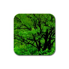 Big Trees, El Leoncito National Park, San Juan, Argentina Rubber Square Coaster (4 Pack)  by dflcprintsclothing