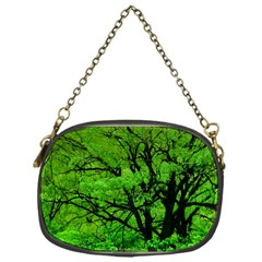 Big Trees, El Leoncito National Park, San Juan, Argentina Chain Purse (one Side) by dflcprintsclothing