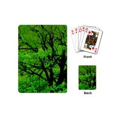 Big Trees, El Leoncito National Park, San Juan, Argentina Playing Cards Single Design (mini) by dflcprintsclothing