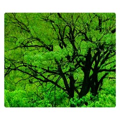 Big Trees, El Leoncito National Park, San Juan, Argentina Double Sided Flano Blanket (small)  by dflcprintsclothing