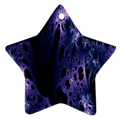 Fractal Web Ornament (star) by Sparkle