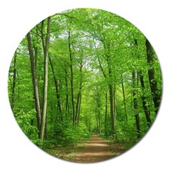 In The Forest The Fullness Of Spring, Green, Magnet 5  (round) by MartinsMysteriousPhotographerShop