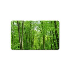 In The Forest The Fullness Of Spring, Green, Magnet (name Card)