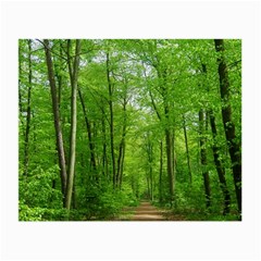 In The Forest The Fullness Of Spring, Green, Small Glasses Cloth