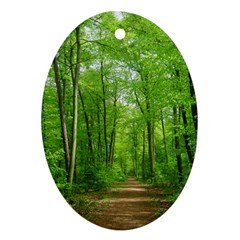 In The Forest The Fullness Of Spring, Green, Oval Ornament (two Sides) by MartinsMysteriousPhotographerShop