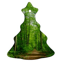 In The Forest The Fullness Of Spring, Green, Christmas Tree Ornament (two Sides) by MartinsMysteriousPhotographerShop