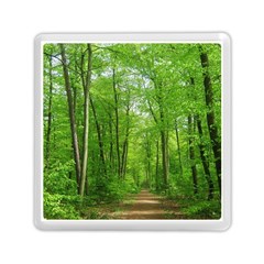 In The Forest The Fullness Of Spring, Green, Memory Card Reader (square) by MartinsMysteriousPhotographerShop