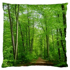 In The Forest The Fullness Of Spring, Green, Large Cushion Case (two Sides) by MartinsMysteriousPhotographerShop