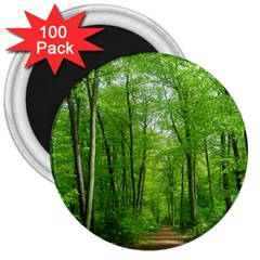 In The Forest The Fullness Of Spring, Green, 3  Magnets (100 Pack) by MartinsMysteriousPhotographerShop