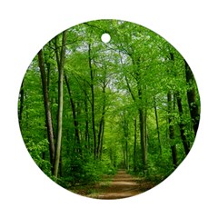 In The Forest The Fullness Of Spring, Green, Round Ornament (two Sides) by MartinsMysteriousPhotographerShop