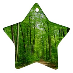 In The Forest The Fullness Of Spring, Green, Star Ornament (two Sides)