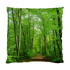 In The Forest The Fullness Of Spring, Green, Standard Cushion Case (two Sides) by MartinsMysteriousPhotographerShop