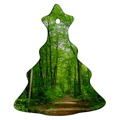 In The Forest The Fullness Of Spring, Green, Ornament (christmas Tree)  by MartinsMysteriousPhotographerShop