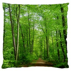 In The Forest The Fullness Of Spring, Green, Standard Flano Cushion Case (one Side) by MartinsMysteriousPhotographerShop