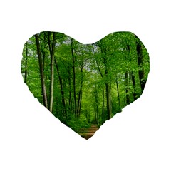 In The Forest The Fullness Of Spring, Green, Standard 16  Premium Flano Heart Shape Cushions by MartinsMysteriousPhotographerShop