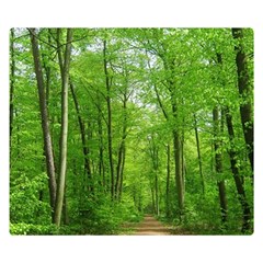 In The Forest The Fullness Of Spring, Green, Double Sided Flano Blanket (small)  by MartinsMysteriousPhotographerShop