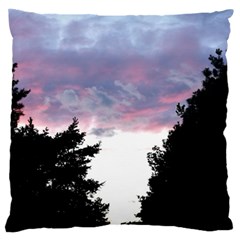 Colorful Overcast, Pink,violet,gray,black Large Flano Cushion Case (one Side) by MartinsMysteriousPhotographerShop