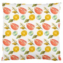 Citrus Gouache Pattern Large Cushion Case (two Sides) by EvgeniaEsenina