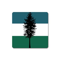 Flag Of Cascadia  Square Magnet by abbeyz71