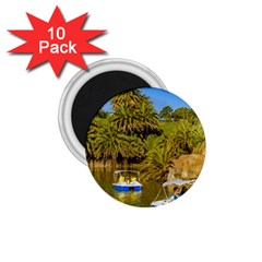 Parque Rodo Park, Montevideo, Uruguay 1 75  Magnets (10 Pack)  by dflcprintsclothing